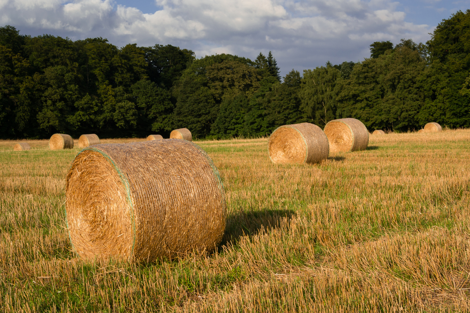 Spätsommer