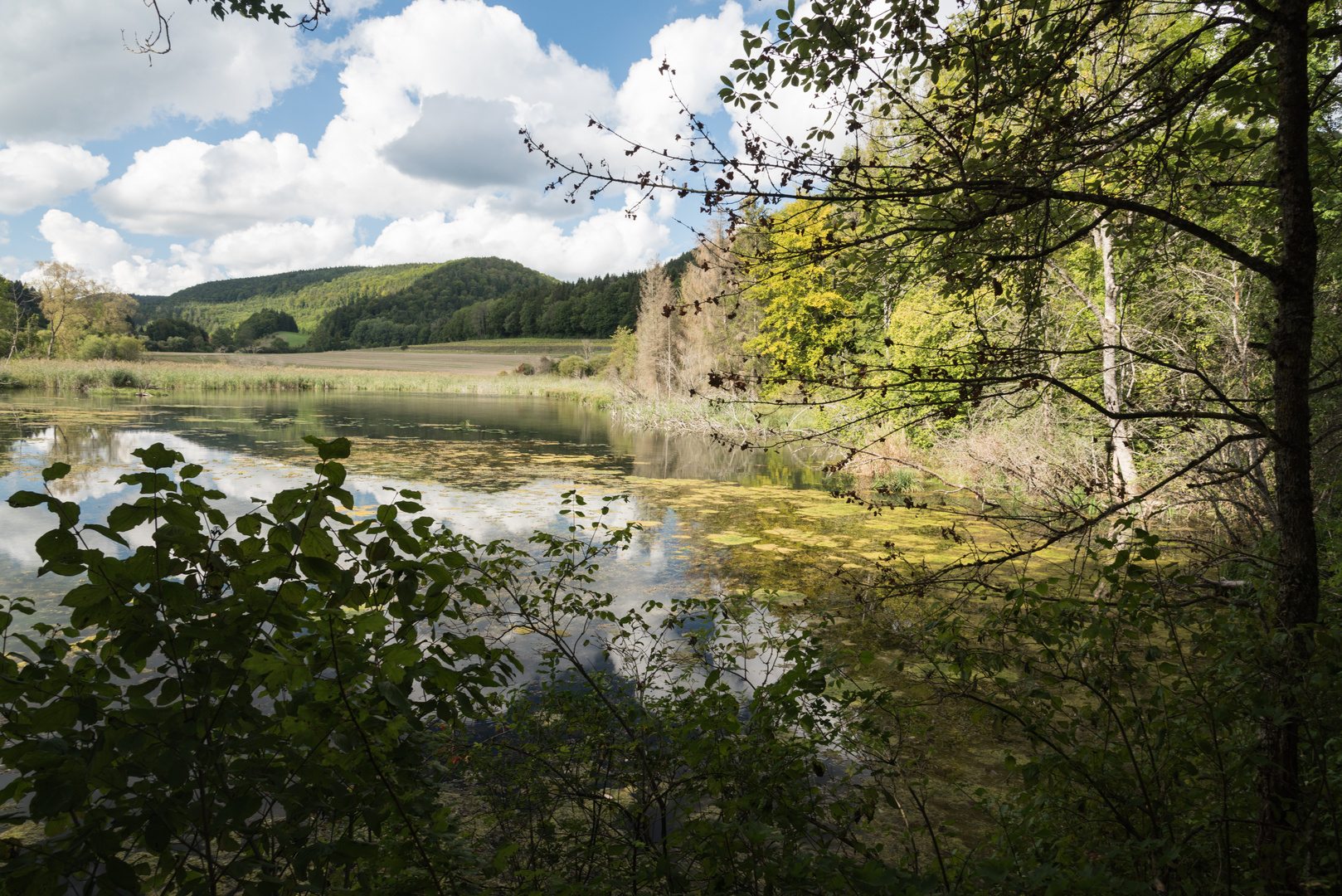 Spätsommer