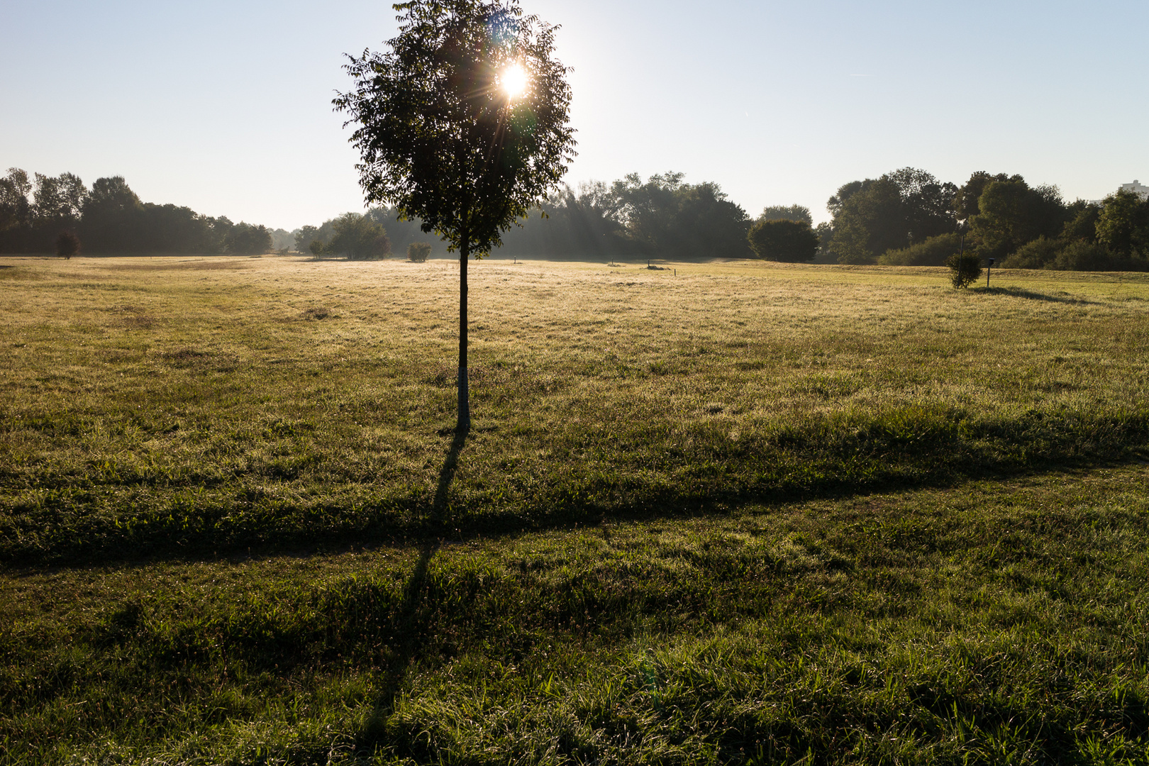 Spätsommer