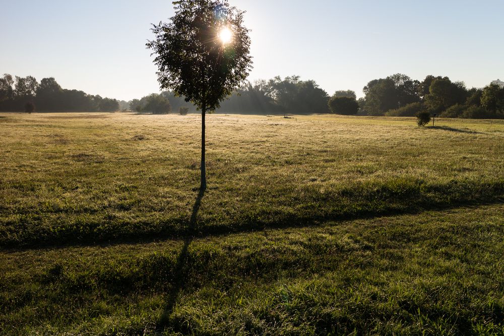 Spätsommer