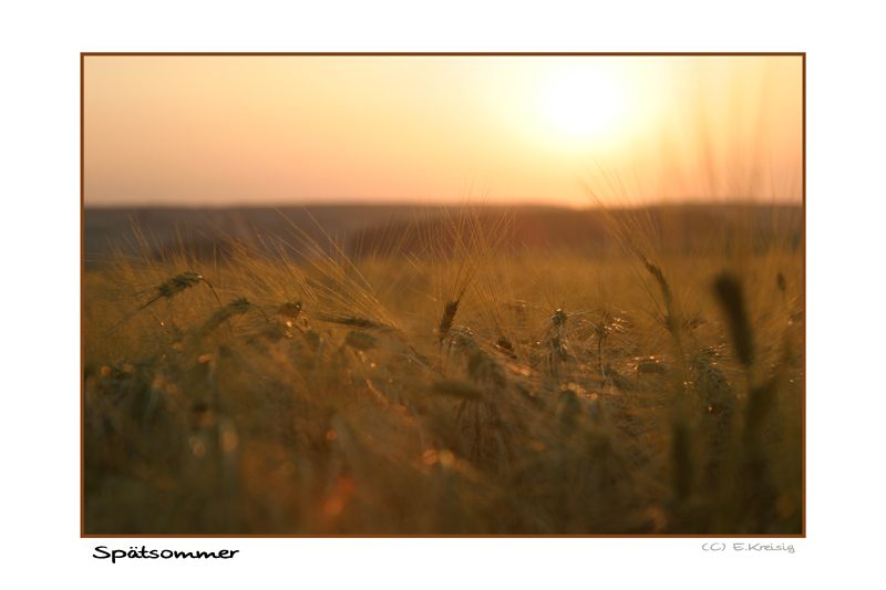 Spätsommer