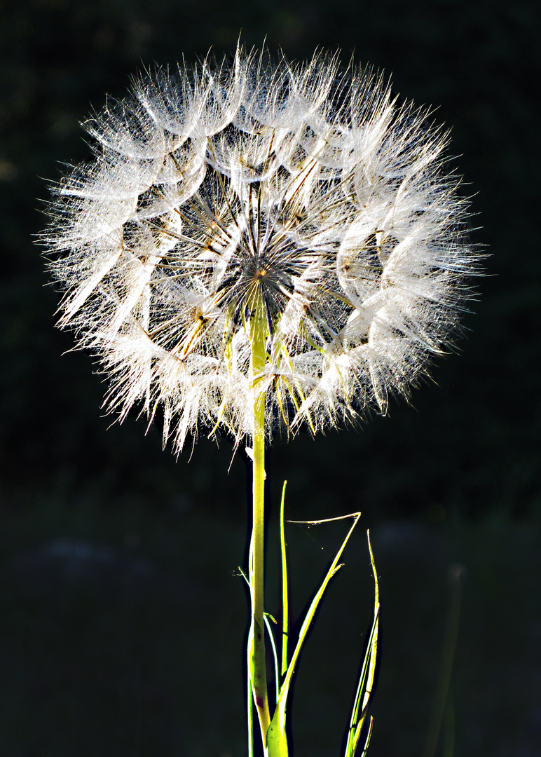 Spätsommer