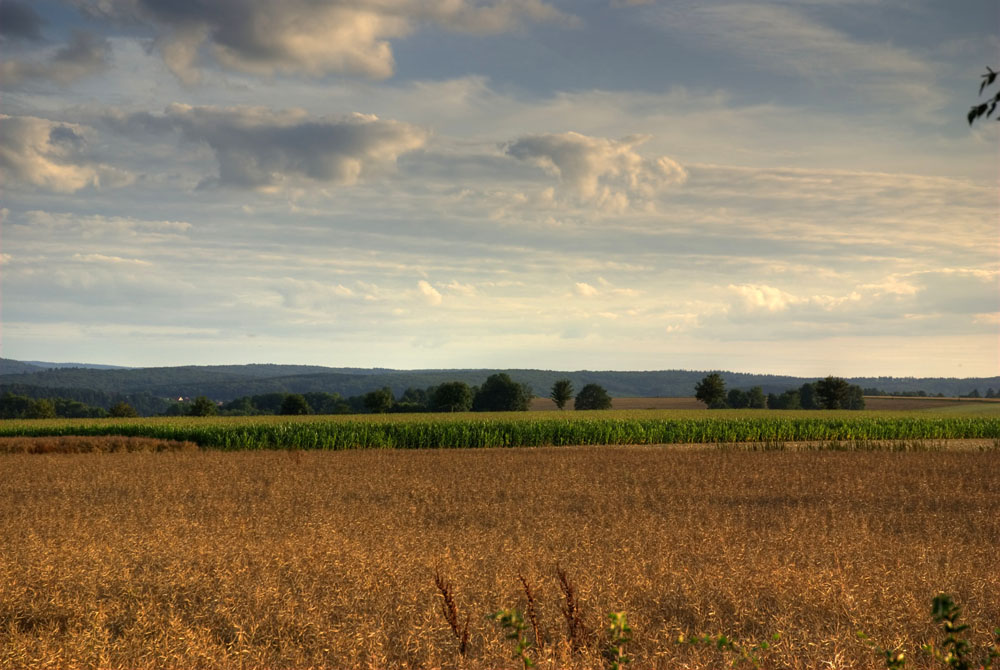 Spätsommer