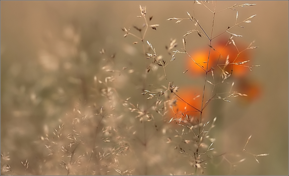 Spätsommer....