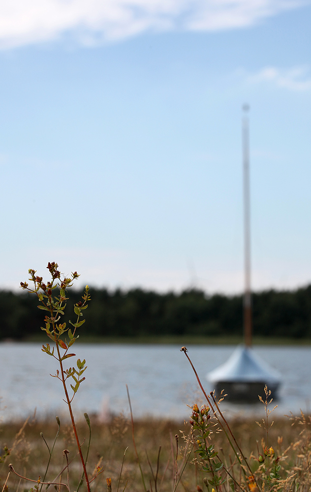 Spätsommer