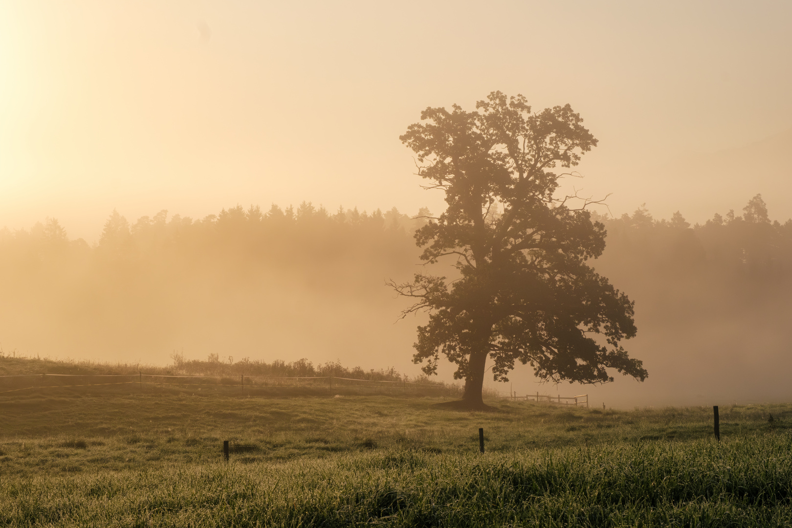 Spätsommer