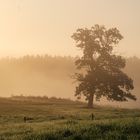 Spätsommer