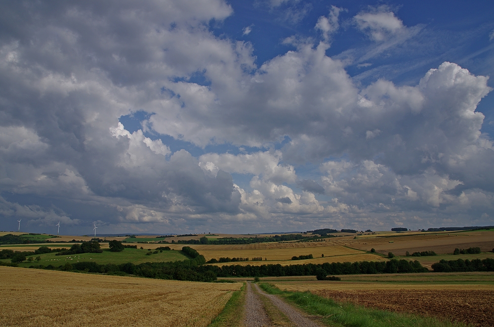 Spätsommer