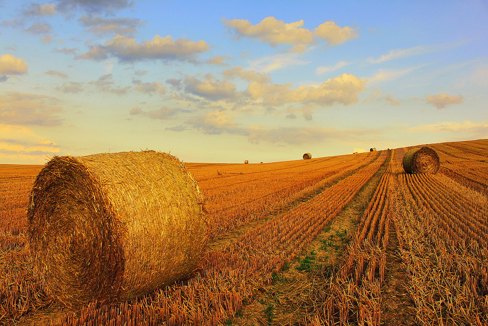 Spätsommer Foto And Bild Landschaft Äcker Felder And Wiesen Feld