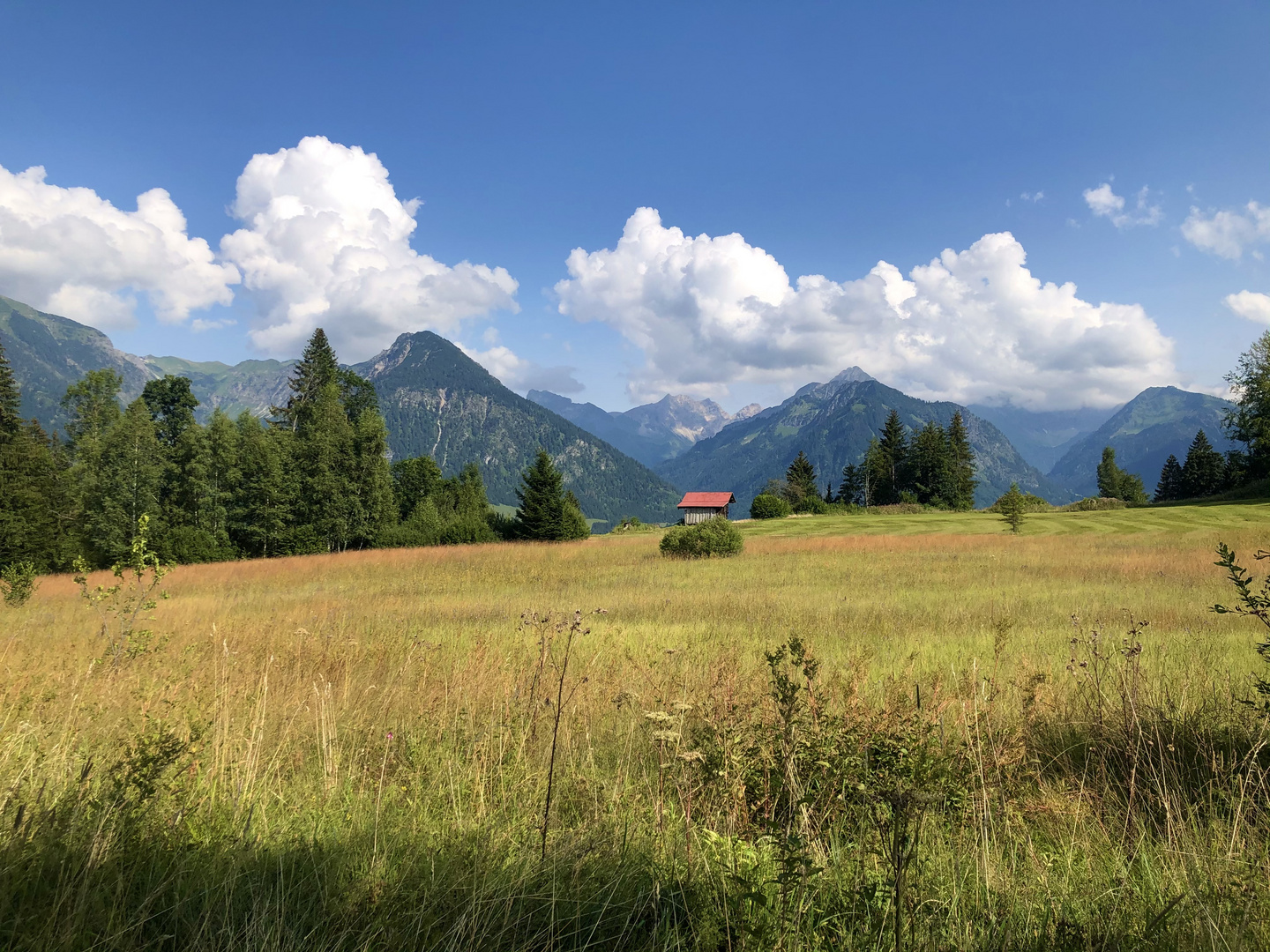 Spätsommer 