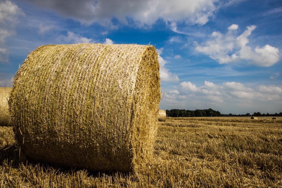 Spätsommer