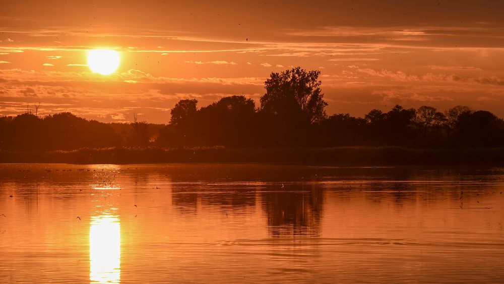 Spätsommer