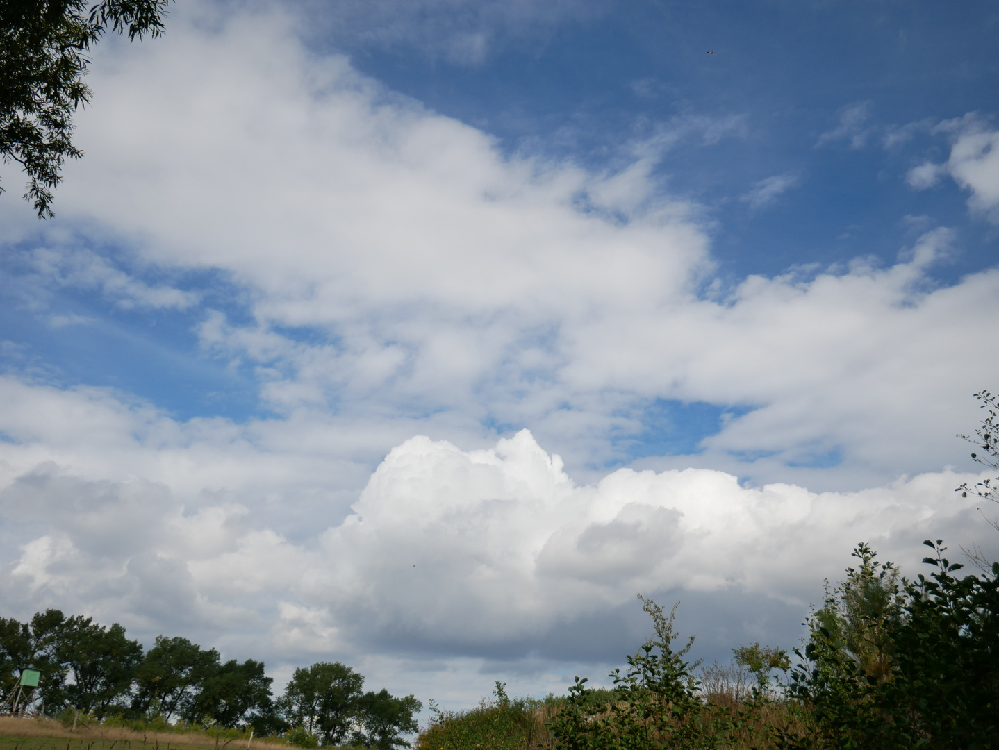 Spätsommer