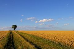 Spätsommer