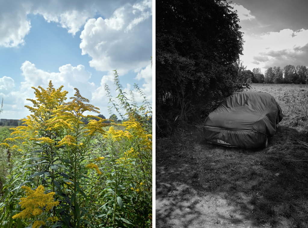 Spätsommer