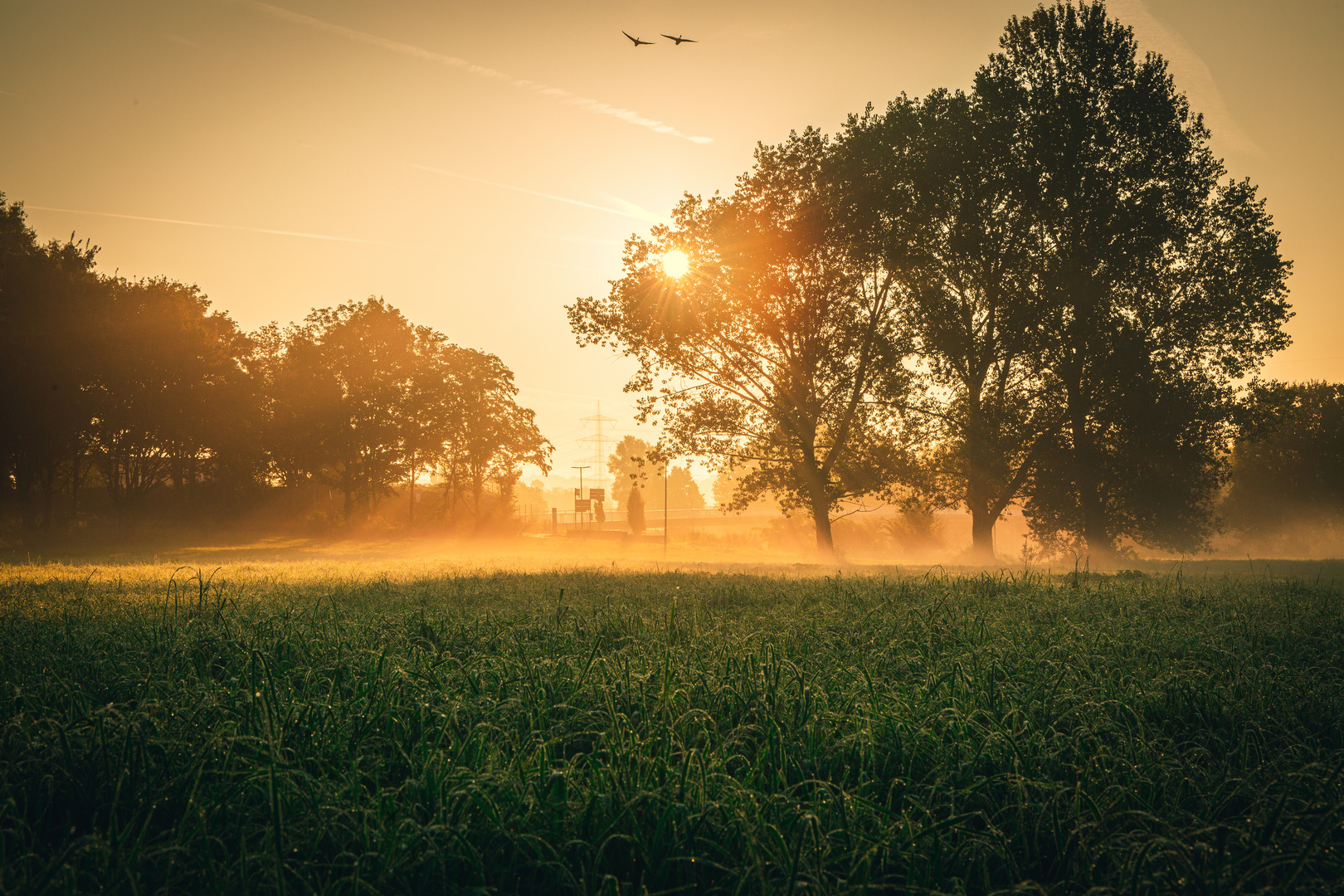 Spätsommer