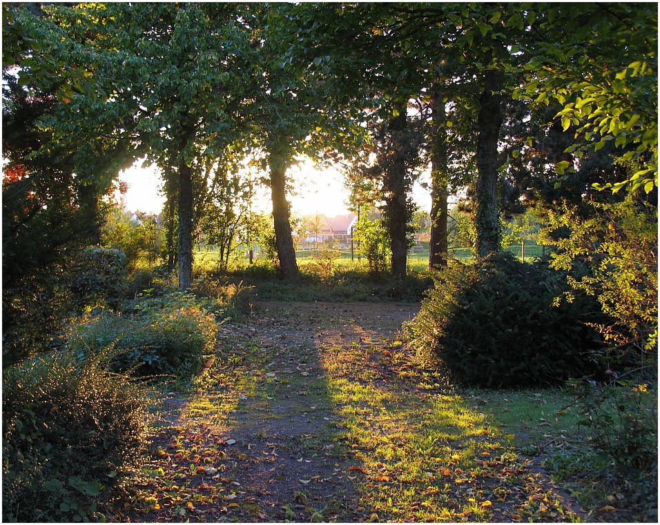 Spätsommer-Abend...