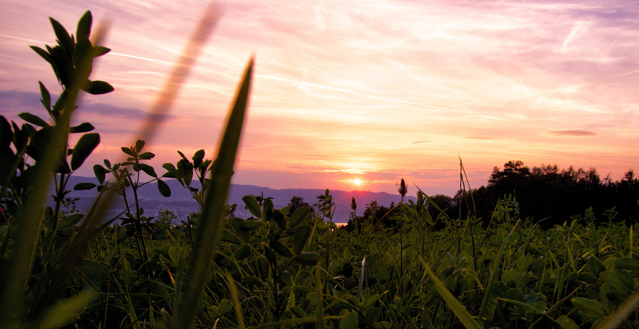 Spätsommer-Abend