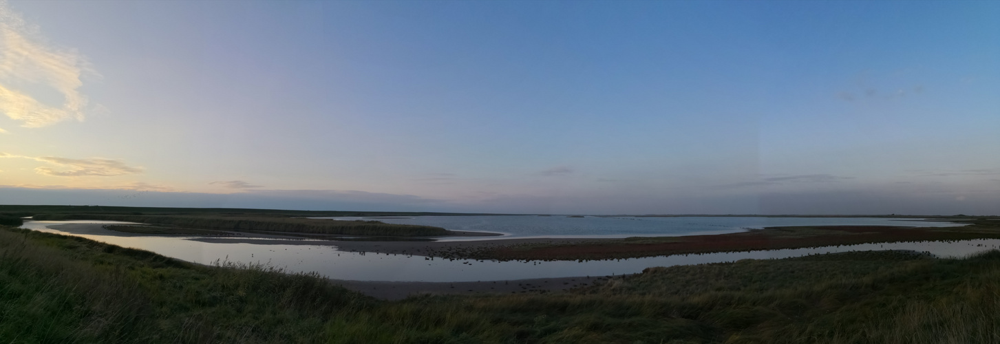 Spätsommer-Abend im NSG Rickelsbüller Koog