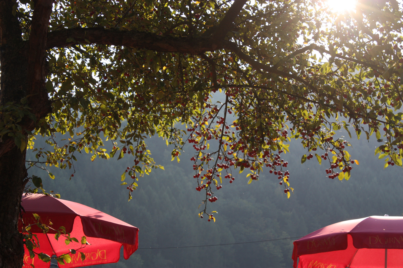 Spätsommer Altes Pfarrhaus in Rech