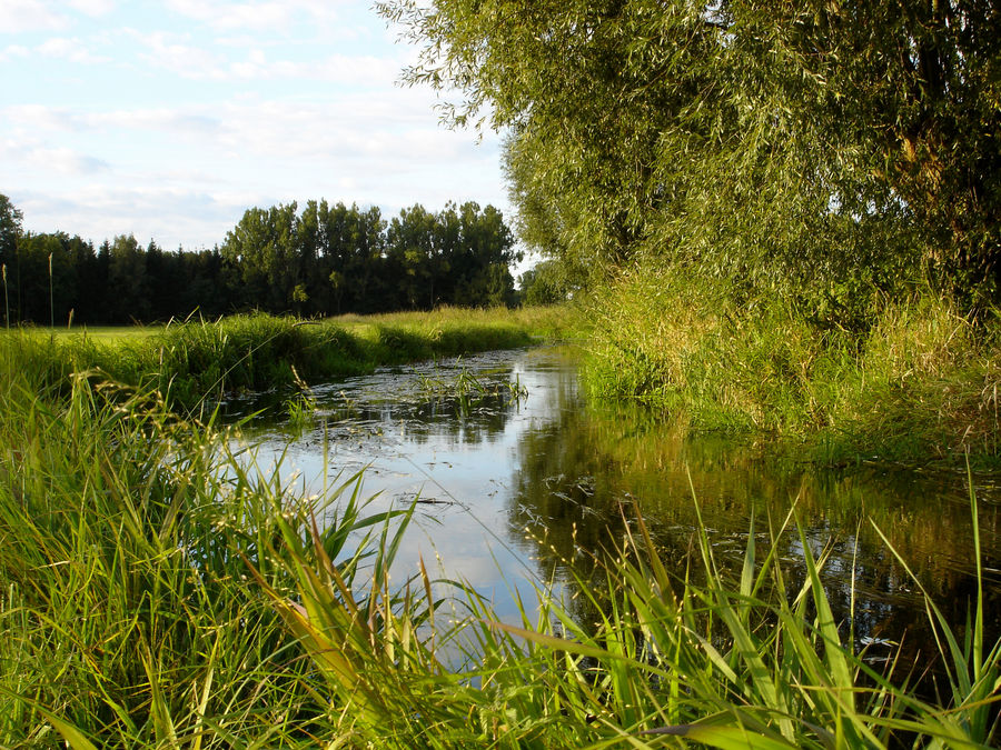 Spätsommer am Bach