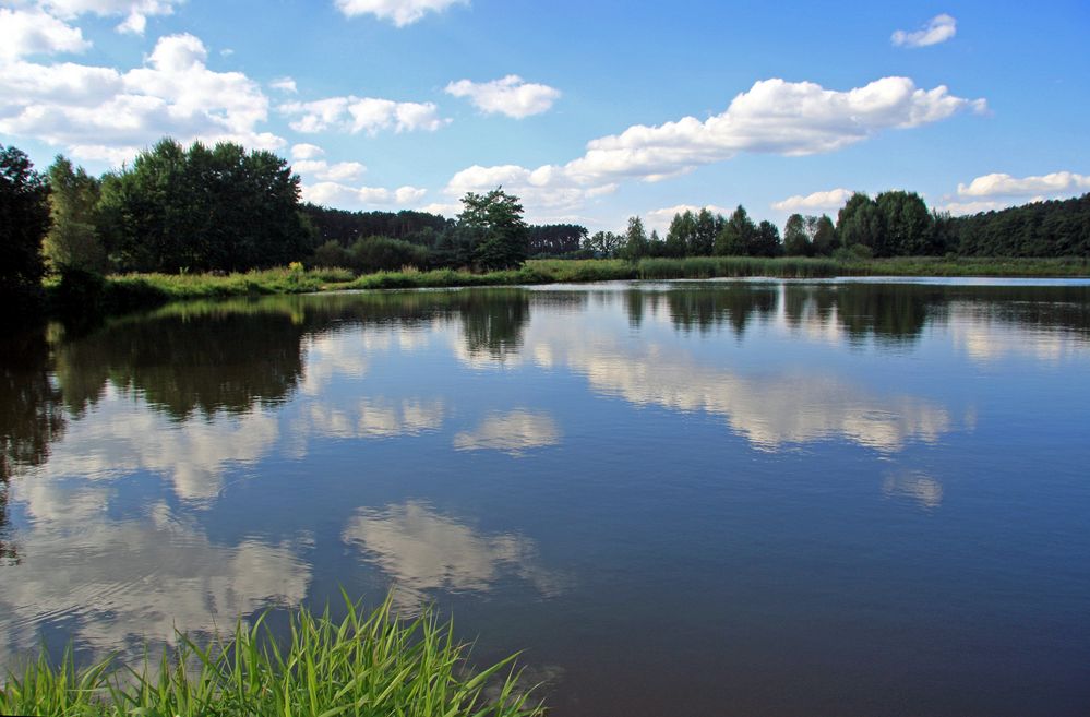 Spätsommer am Dechsendorfer Weiher