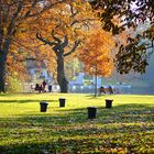 Spätsommer am Hangeweiher