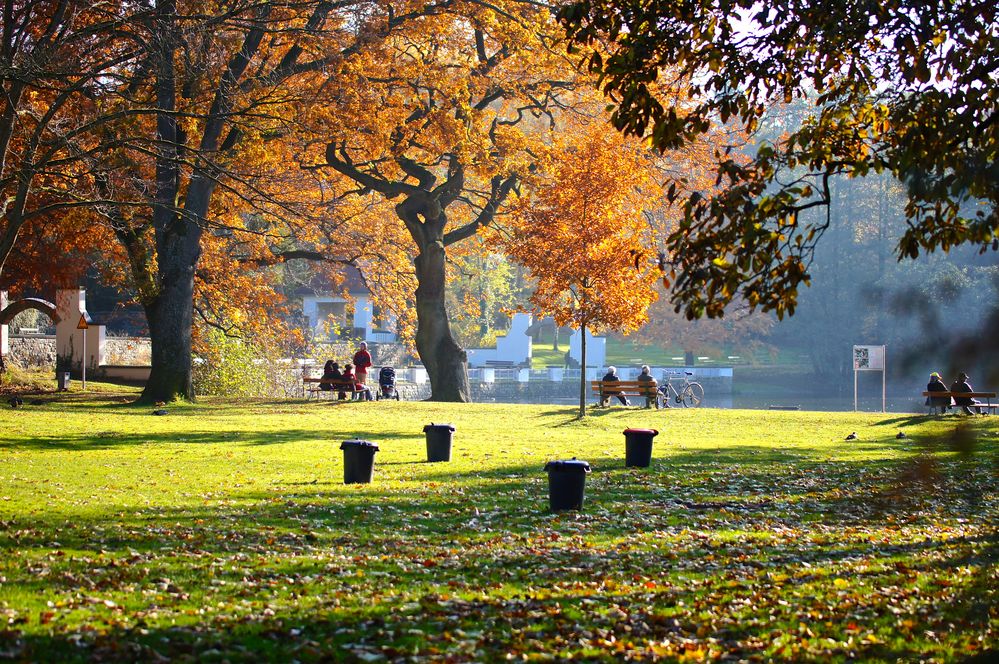 Spätsommer am Hangeweiher