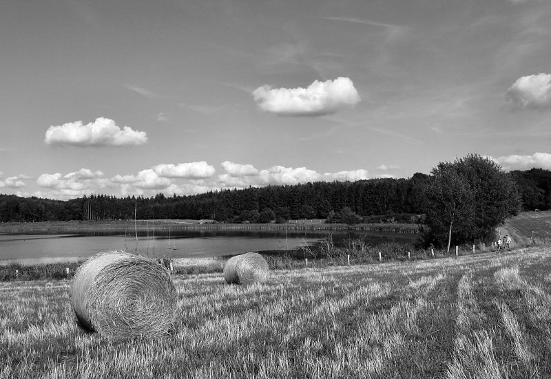 Spätsommer am Maar