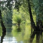 Spätsommer am Möhnesee