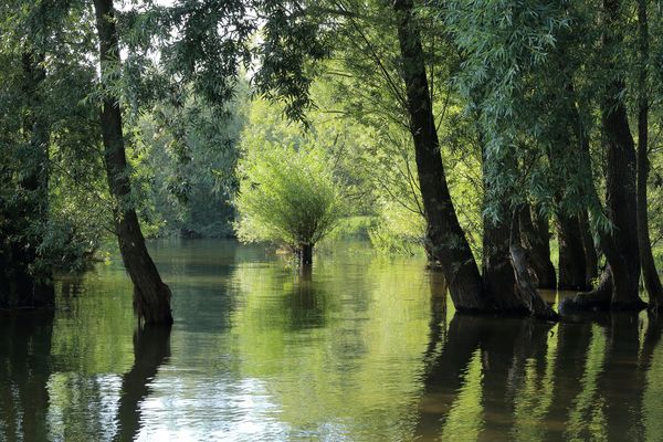 Spätsommer am Möhnesee