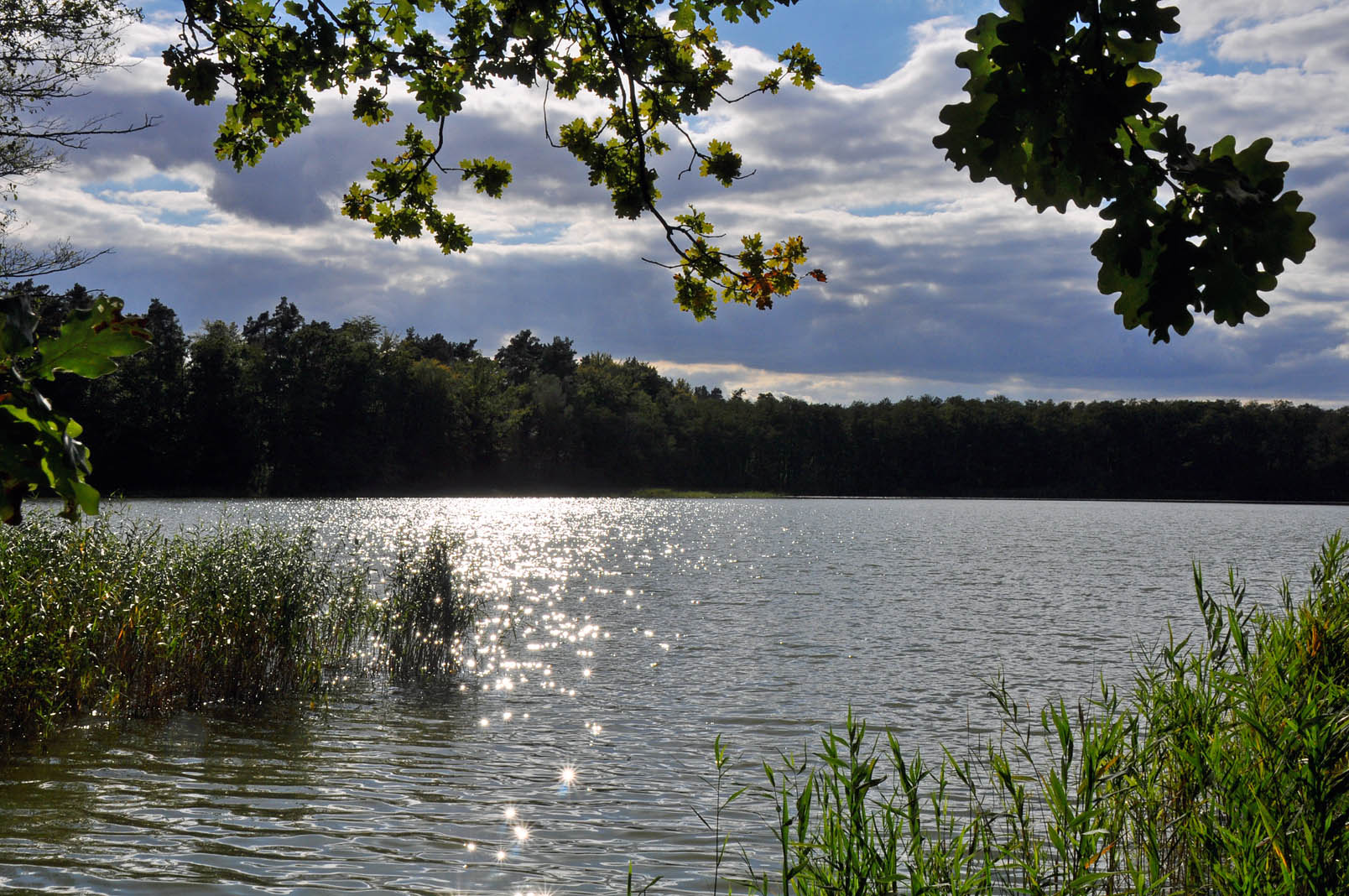 Spätsommer am Nachmittag