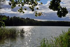 Spätsommer am Nachmittag