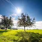 Spätsommer am Nollen