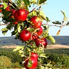 Spätsommer am Rande der Fränkischen Schweiz