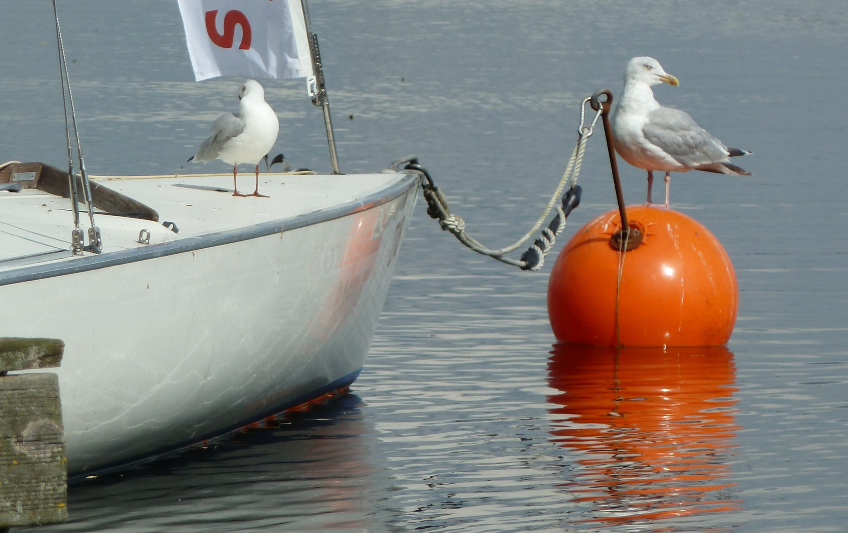 Spätsommer am Schalsee