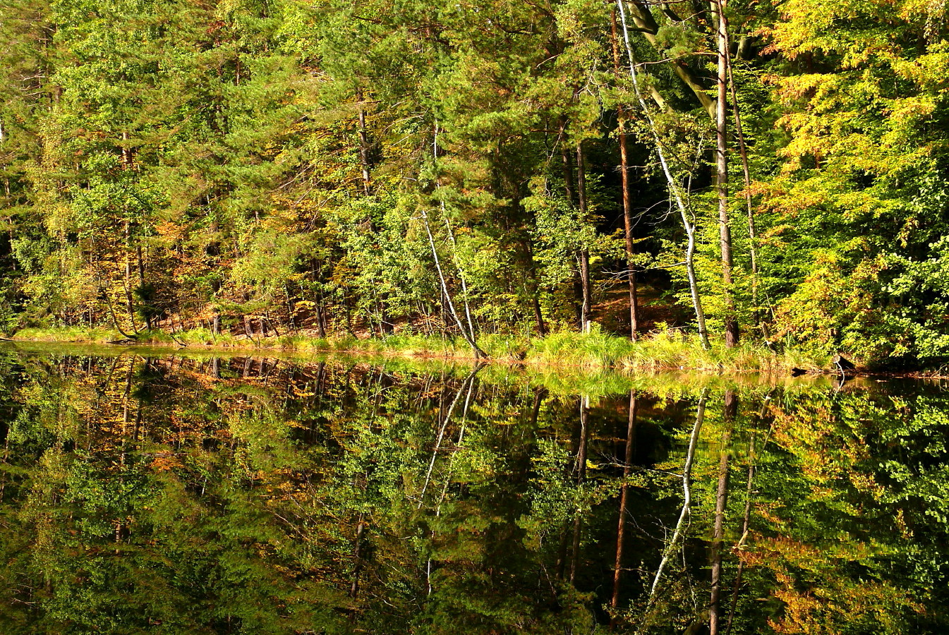 Spätsommer am Schwarzen Teich