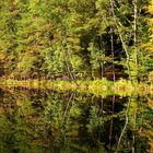 Spätsommer am Schwarzen Teich