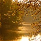 Spätsommer am See