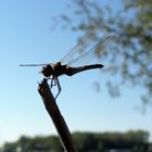 Spätsommer am See