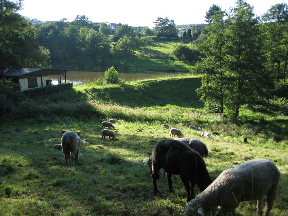 Spätsommer am See