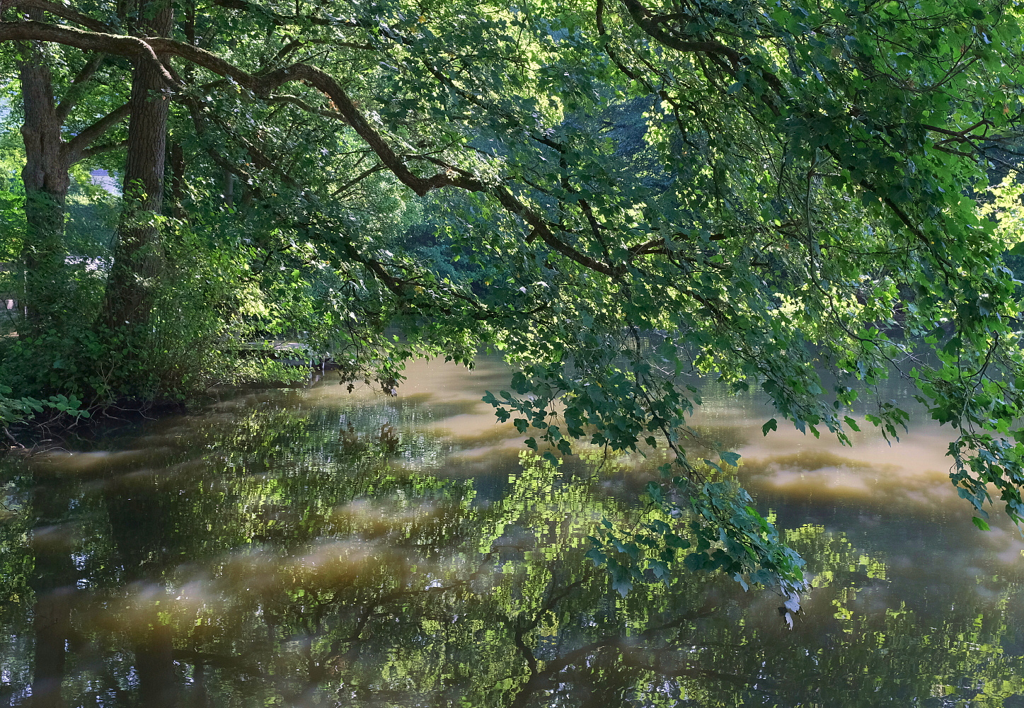 Spätsommer am Stauteich