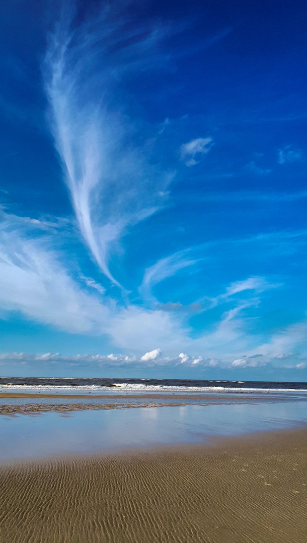 Spätsommer am Strand vonLangeoog