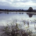 Spätsommer am Teich