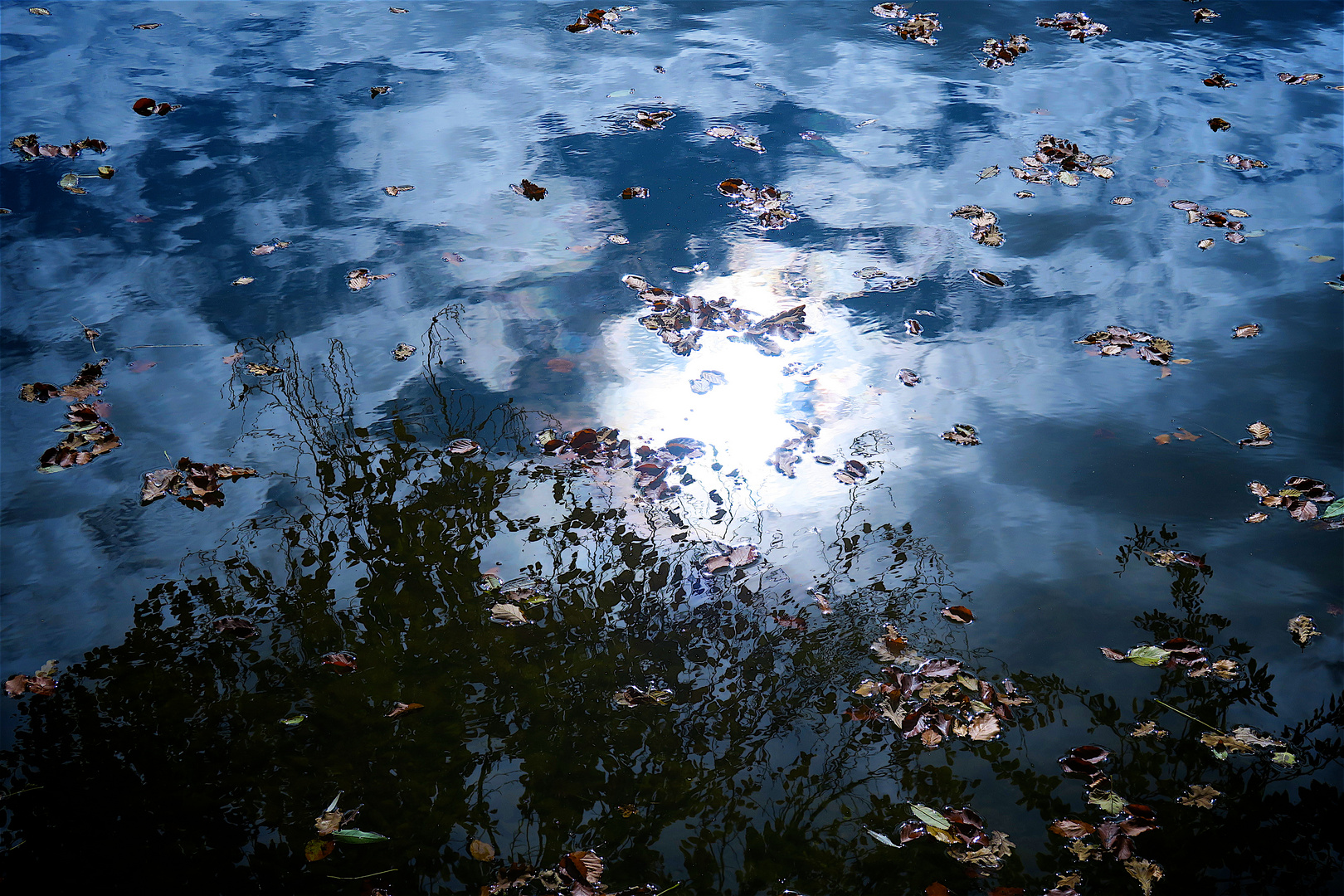 Spätsommer am Teich