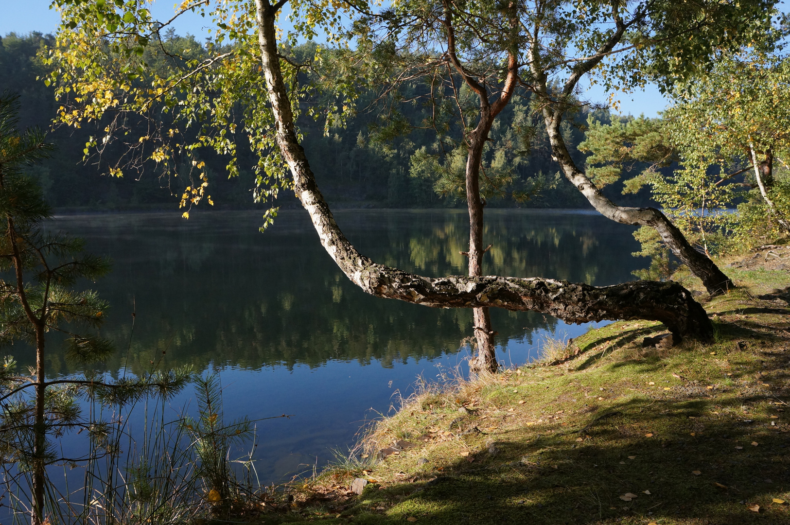 Spätsommer am Vogelberg