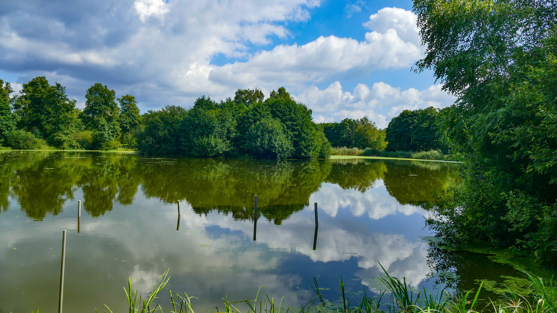 Spätsommer an den Aschauteichen