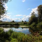 Spätsommer an der alten Oder