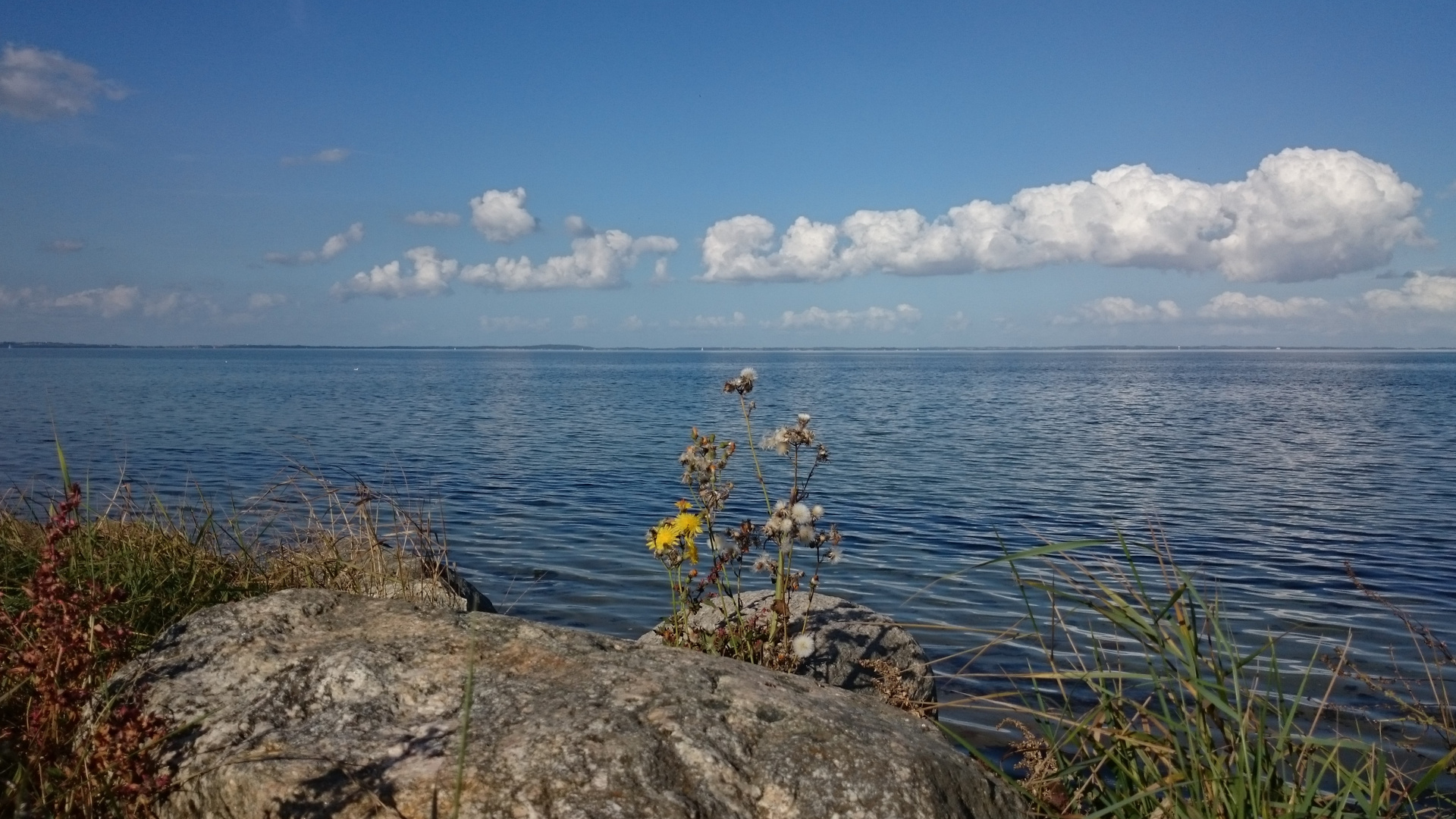 Spätsommer an der Geltinger Birk