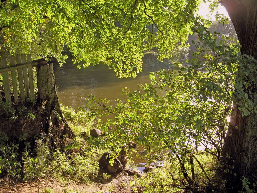 Spätsommer an der Mulde